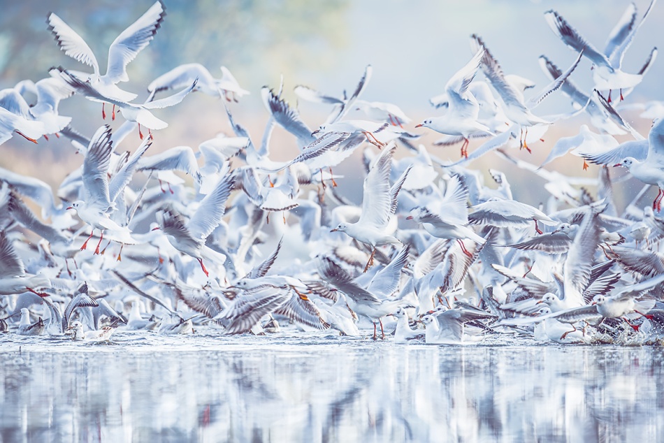 zryw. . Zdjęcie 337170