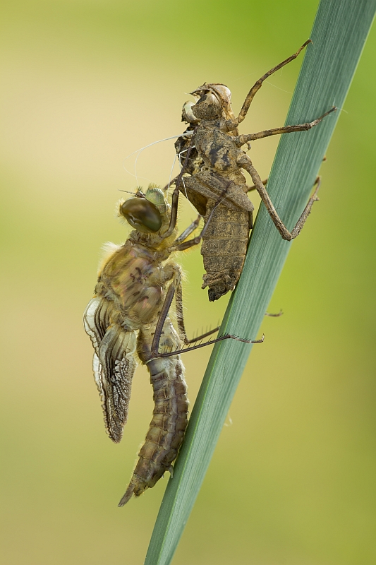 grzegorz - . . Zdjęcie 143964