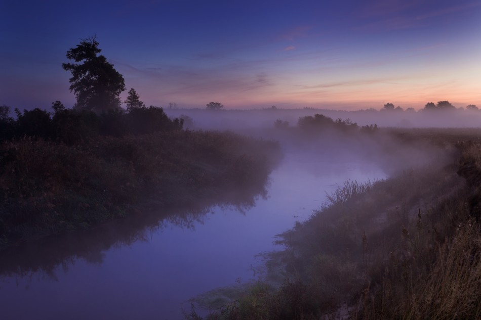 1. . Zdjęcie 338571