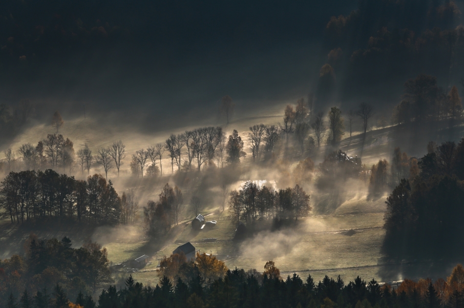 mariusz_je - . . Zdjęcie 327933