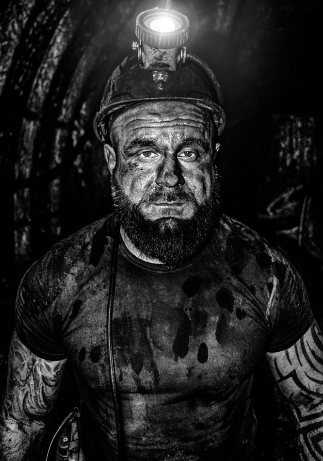 Fedrowy wojownik . Życie pod ziemią. Zdjęcie 338770