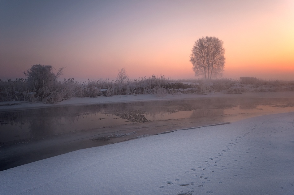 darek_d - barwy zimy.... . Zdjęcie 53805