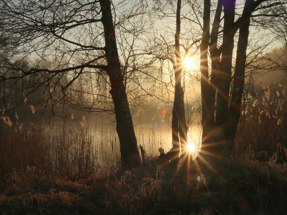 Odbicie. . Zdjęcie 339705