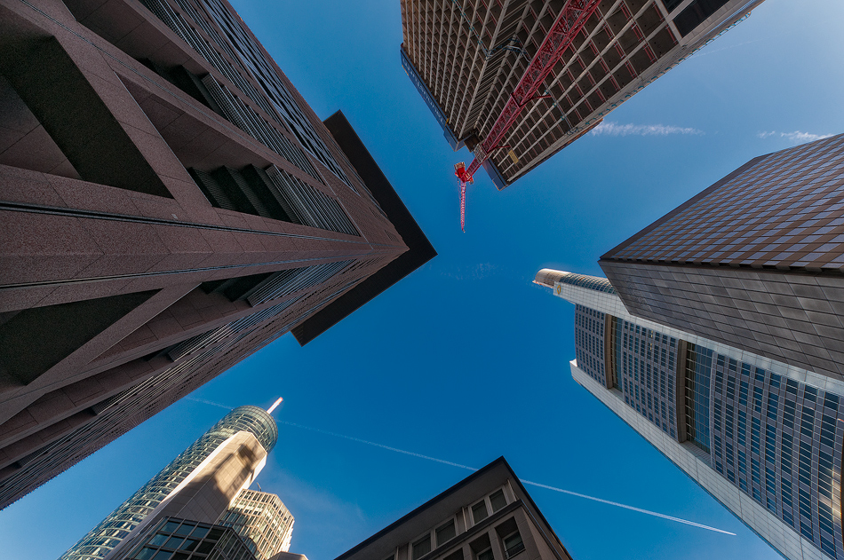 maniak666 - Red Cranes. . Zdjęcie 78068