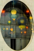 meduzy