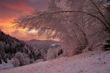 W purpurowym brzasku