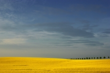 W rzędzie.