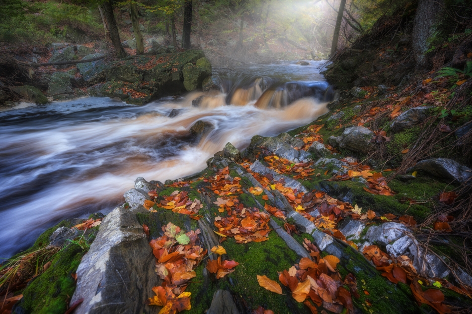 adampa - AUTUMNAL TRANSIENCE. . Zdjęcie 320906