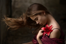 czerwona lilia