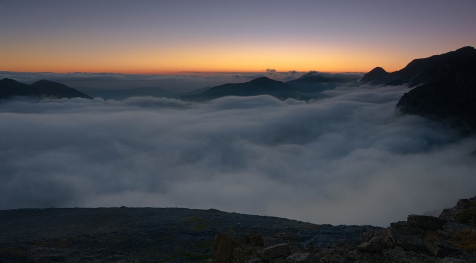 dilong - /\. . Zdjęcie 339985