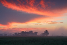 Ciekawość