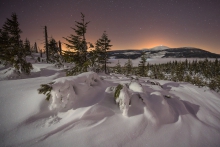 Light in the Winter Dar...