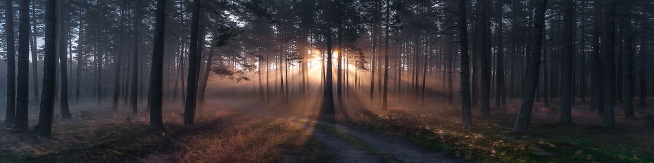 fotoel - Kiedyś o poranku. . Zdjęcie 107445