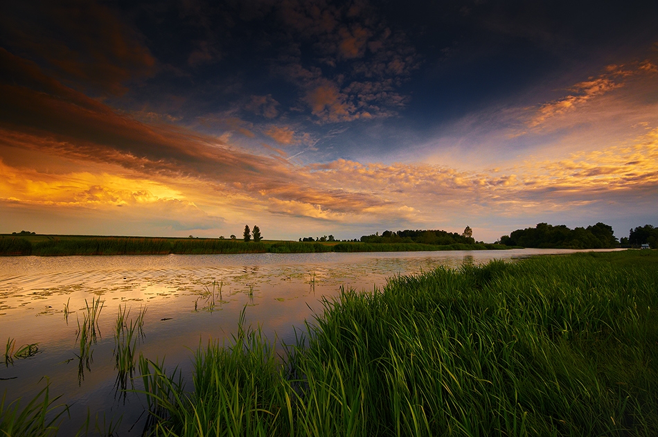 fotoel - Nogat. . Zdjęcie 62702