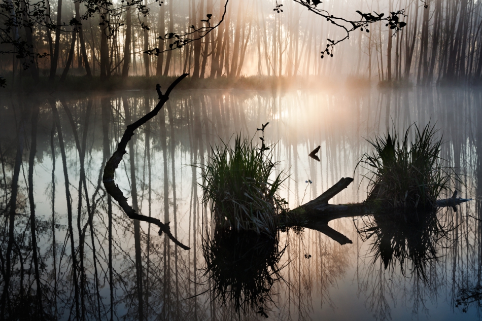 rysiek53 - . . Zdjęcie 222888