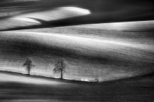 Klasyk w bw