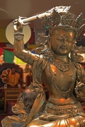 Tibet Alive