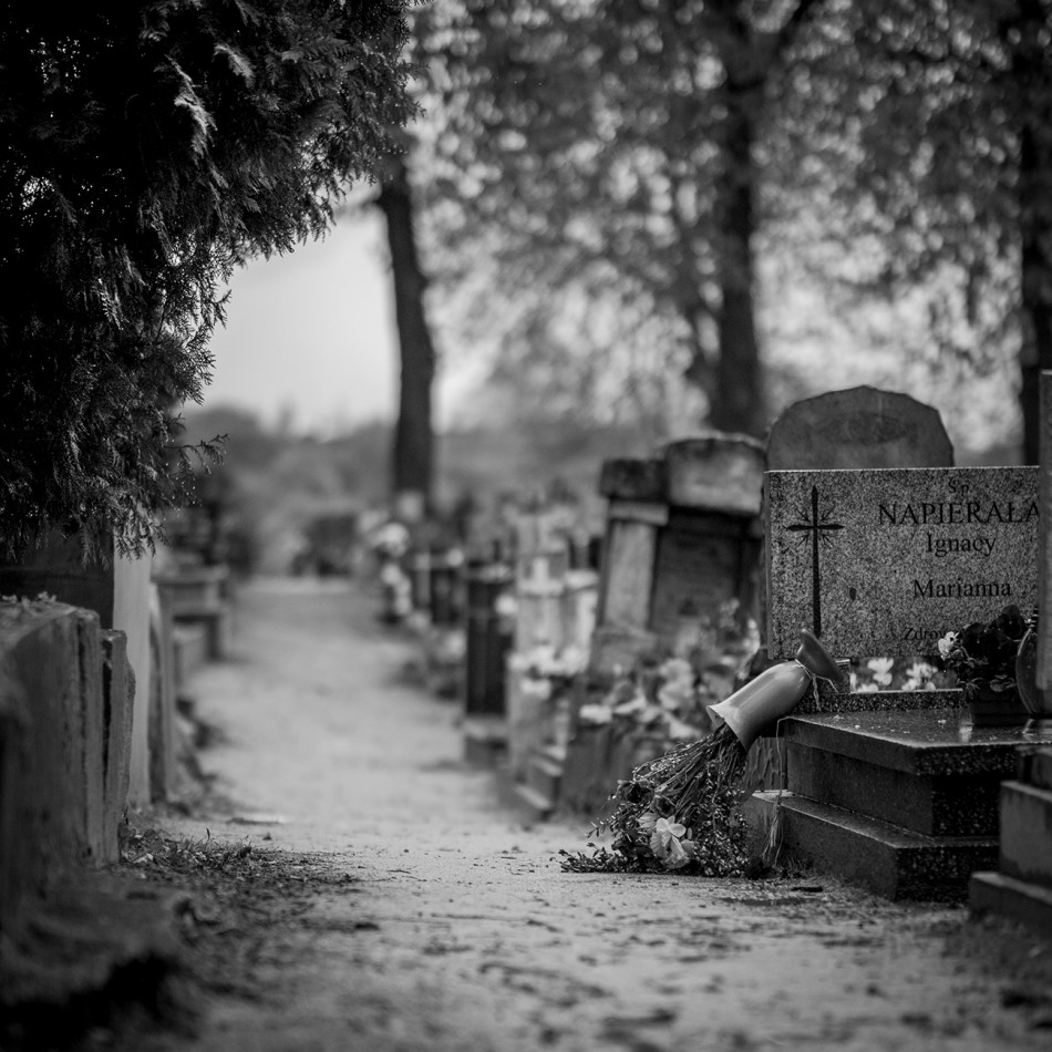 Cisza na cmentarzu. refleksja i zaduma. Zdjęcie 338516
