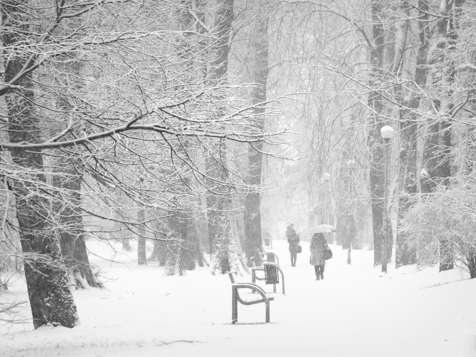 Zima zła. . Zdjęcie 338418