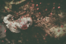 ...floral dream...
