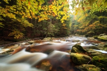 Shallow Waters