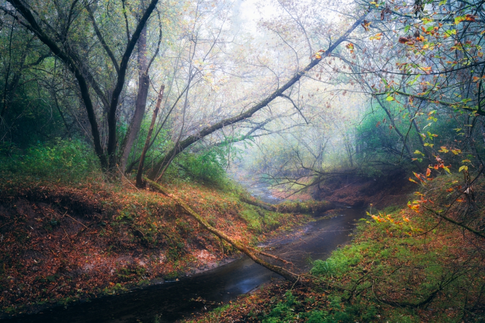 shooter76 - . . Zdjęcie 319547