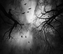 My Dark Sky...