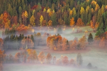 The Land of Morning Mis...