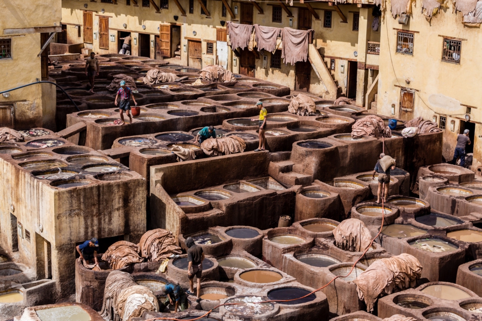 pak76 - Garbiarnia. . Zdjęcie 316288