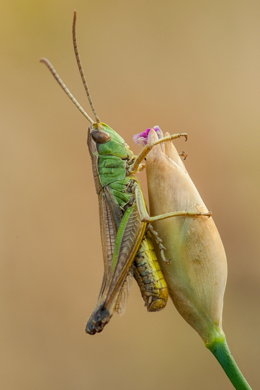 mariusz - ---. . Zdjęcie 122821