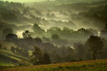 Green morning