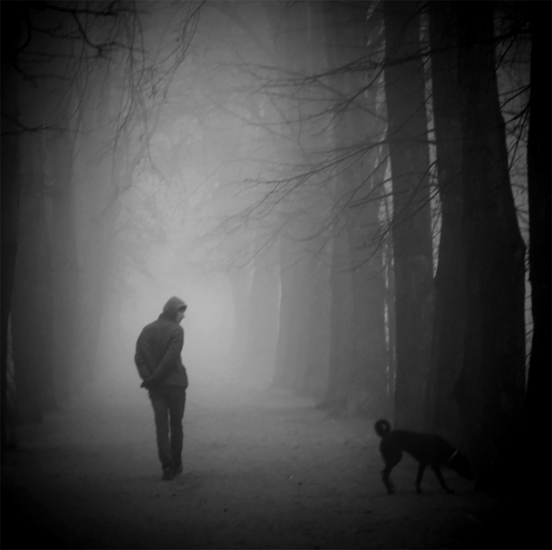 .. . Zdjęcie 132264