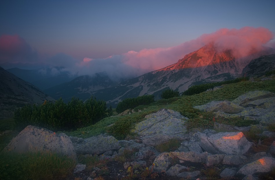 dilong - /\. . Zdjęcie 339782