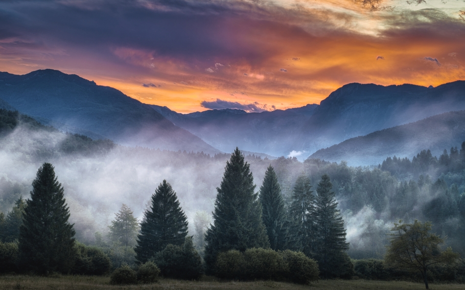 Po burzy. . Zdjęcie 336904