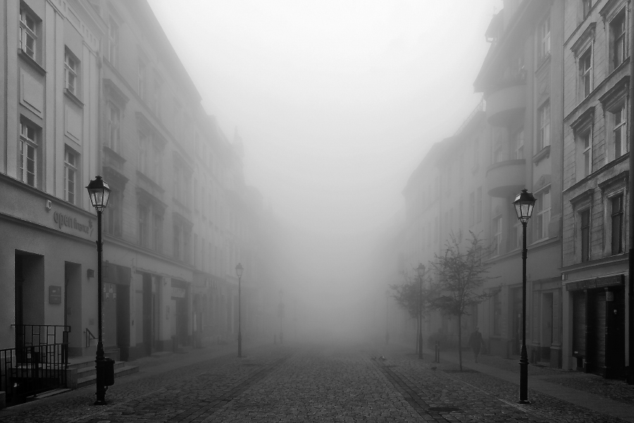 janish - .... . Zdjęcie 134081