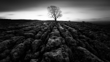 Moody Malham