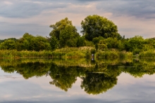 Wędkarze