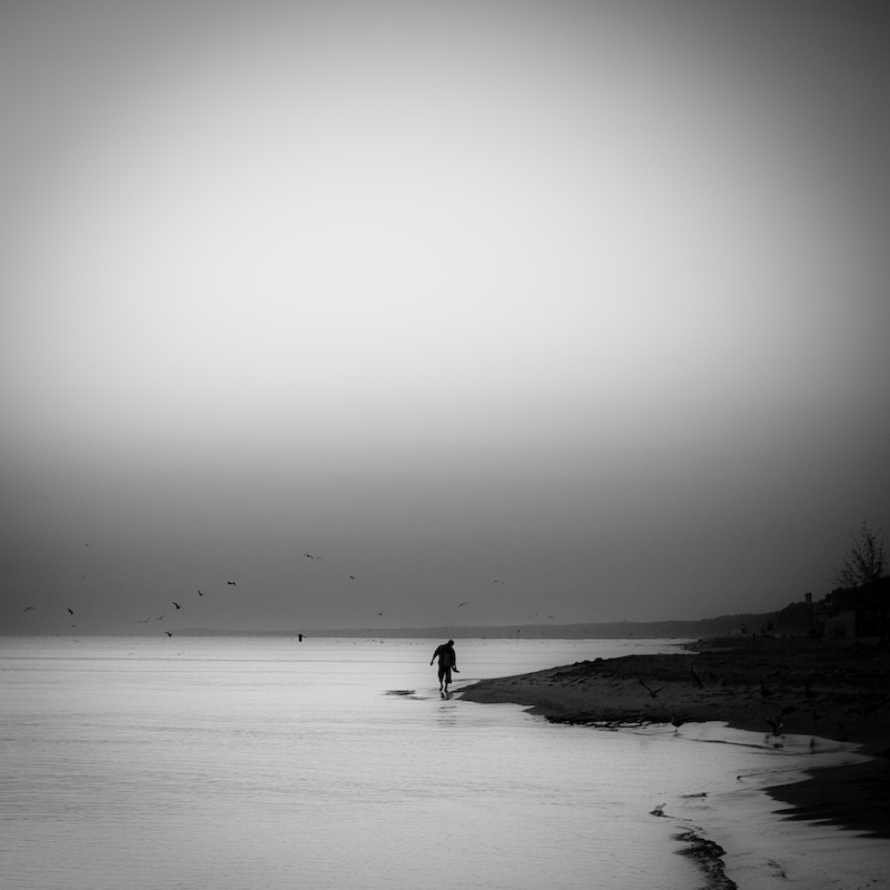 +++. . Zdjęcie 8286