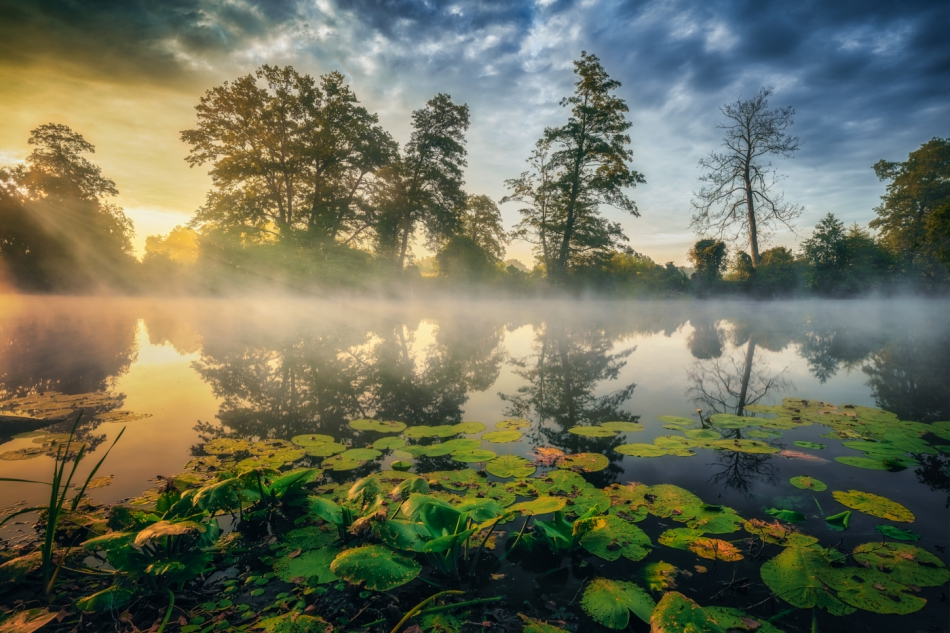 shooter76 - . . Zdjęcie 319248