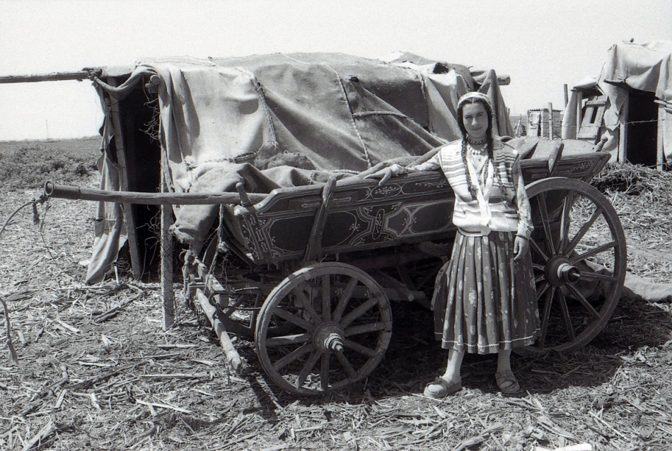 Nomade gypsy girl. . Zdjęcie 334015