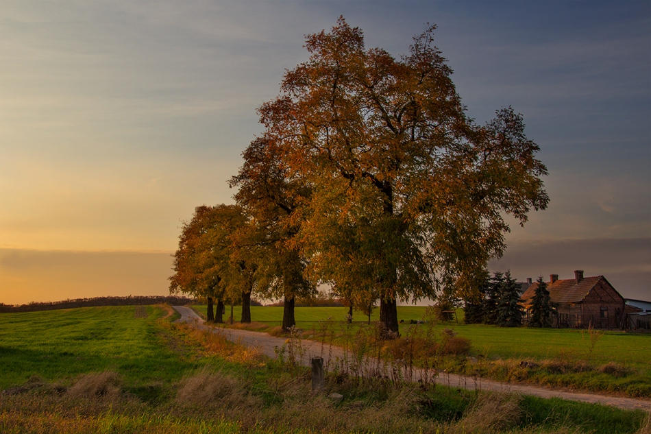 jerzyk - ///. wzniesienia łodzkie / okolice Zgierza /. Zdjęcie 275629
