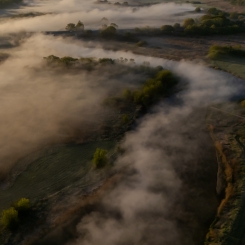 Rzeka Warta o poranku