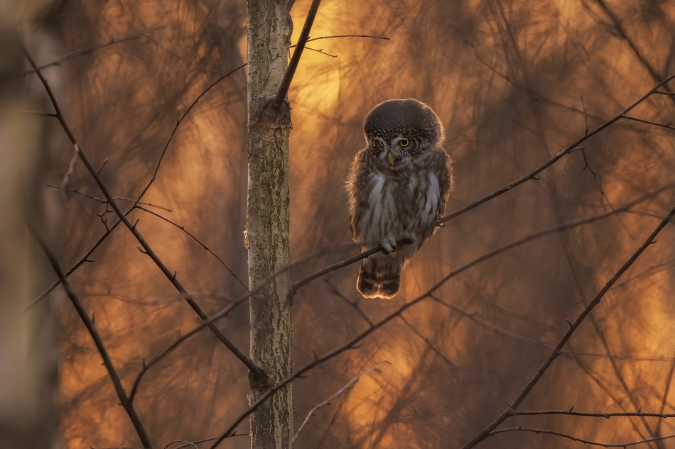 na koniec dnia. . Zdjęcie 336808