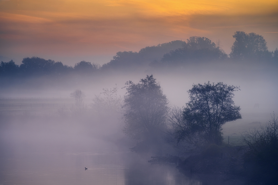 adampa - PALE MORNING. . Zdjęcie 328211