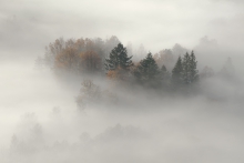Spirit Of The Mist...II