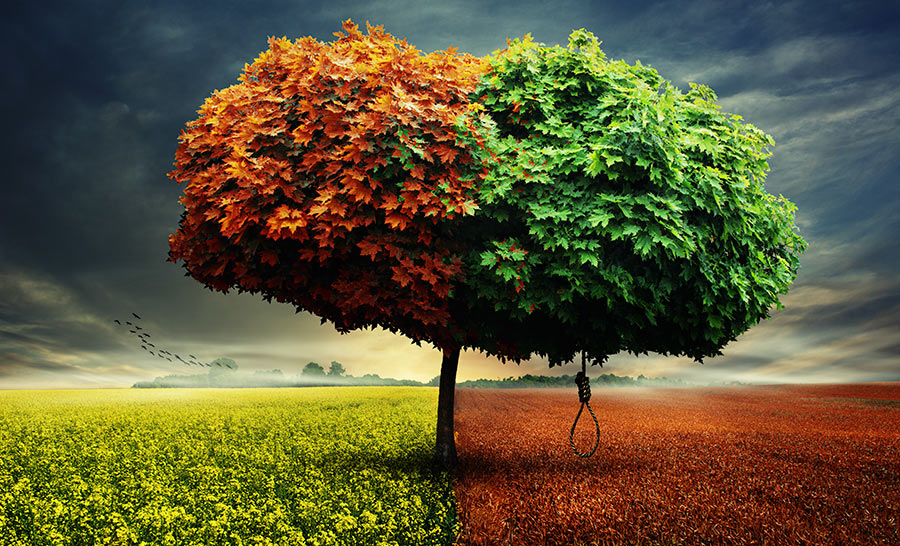 prior - drzewo życia. . Zdjęcie 103855