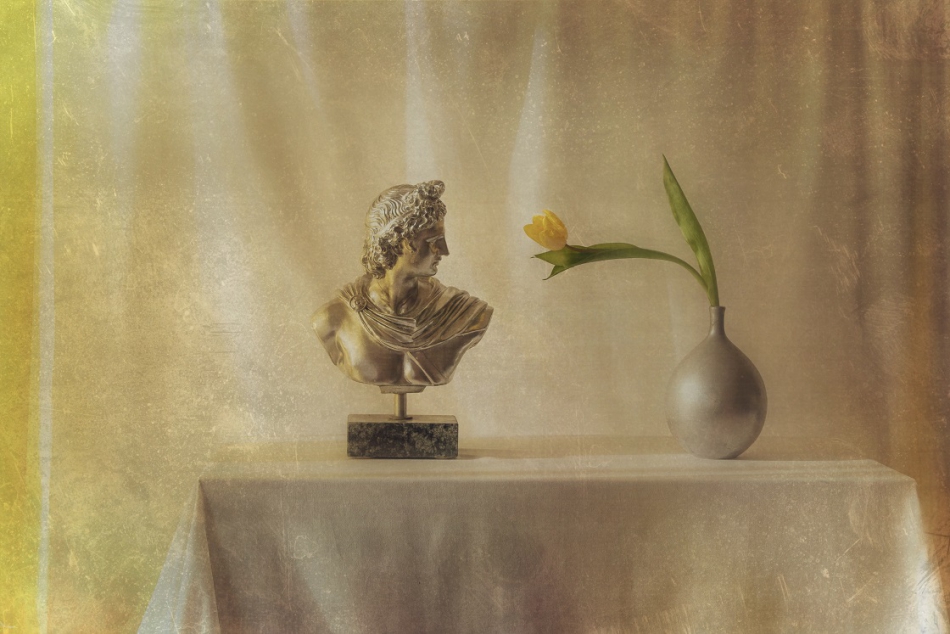 nowikowa - Reverie . https://www.trendesignbook.com/blog/colors/pantone-2021-yellow-and-grey-colour-trends/. Zdjęcie 282757