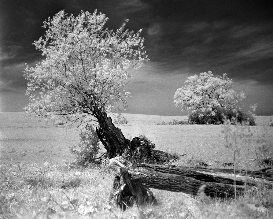 ijon_cor - . Beskid Niski. Rollei infrared,  Hoya IR (R 72), R09 1+50 . Zdjęcie 324253