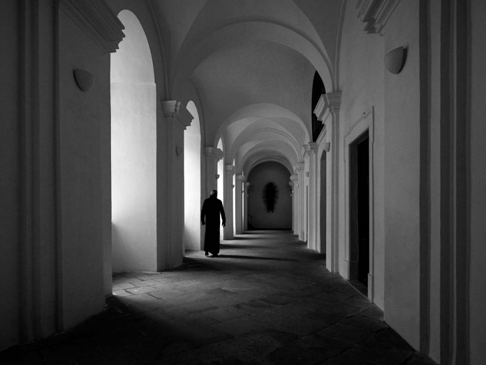 kajar - . . Zdjęcie 313593