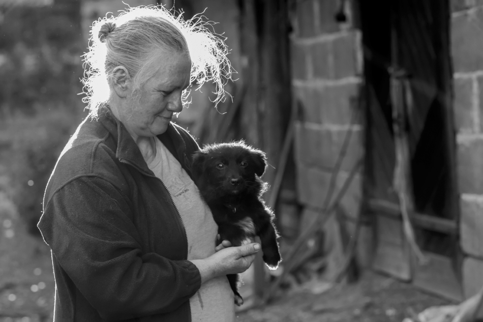 Brak tytułu. . Zdjęcie 283118